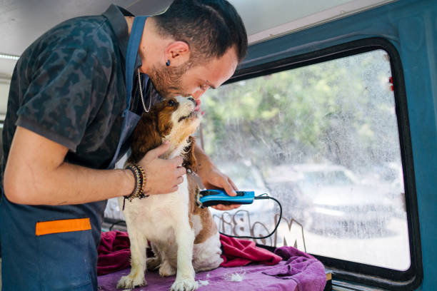 dog wash franchise in Australia