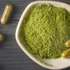 An Analysis of Kratom’s Natural Therapy Potential for Digestive Health
