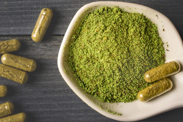 An Analysis of Kratom’s Natural Therapy Potential for Digestive Health
