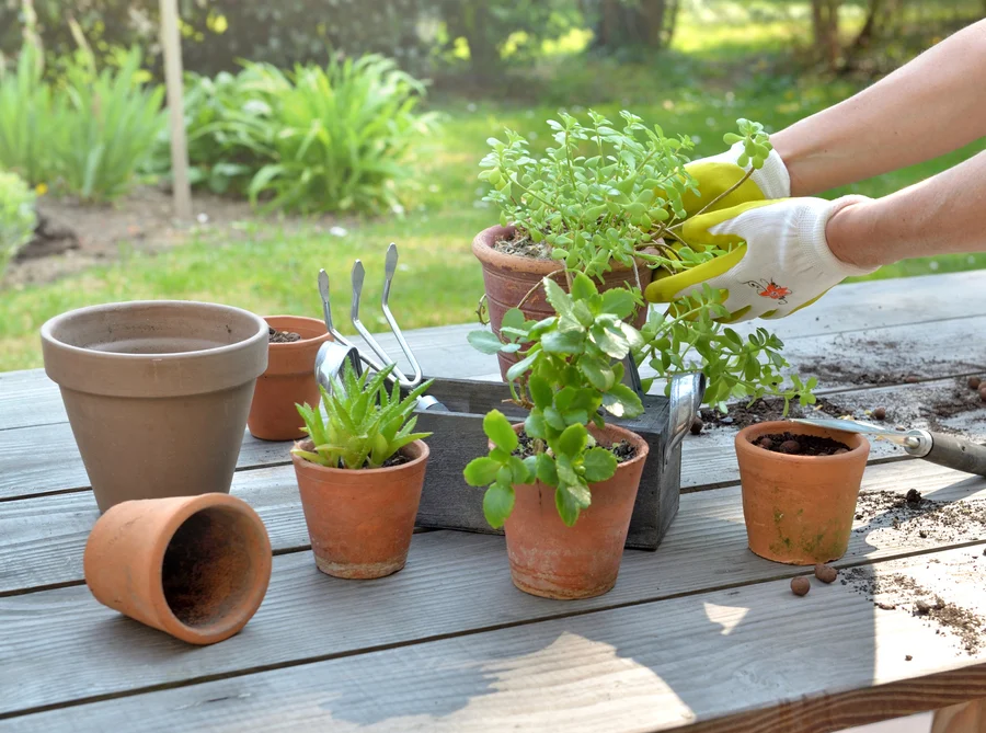 Long-Lasting Wholesale Planters pots for Commercial Gardening Projects